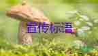 長沙獲救的女孩對(duì)消防說“你是我的希望”，消防員個(gè)人年度工作總結(jié)2篇