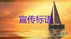 4月24日31省份新增本土確診2666+17528例，疫情期間的暖心句子