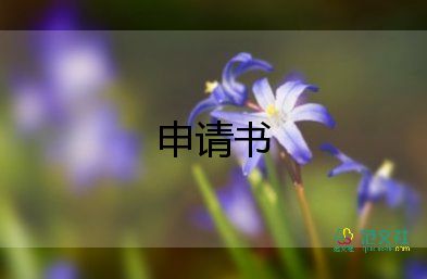 申請(qǐng)經(jīng)理申請(qǐng)書模板5篇