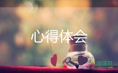 會(huì)計(jì)職業(yè)道德心得體會(huì)800字10篇