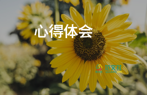 設(shè)計(jì)包心得體會(huì)精選6篇