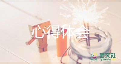 毛概實(shí)踐心得體會(huì)8篇