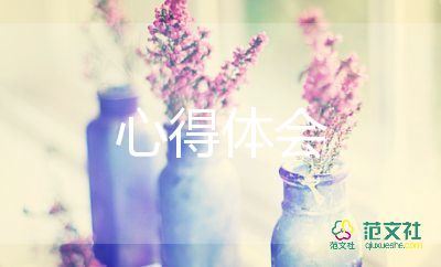 小學(xué)數(shù)學(xué)新課程心得體會范文5篇