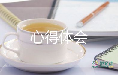 文化建設(shè)的心得體會(huì)參考6篇