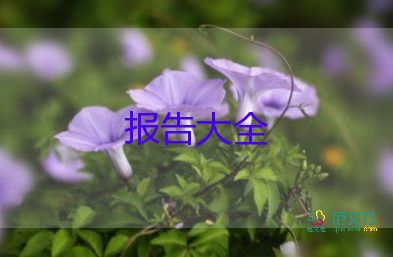 會(huì)計(jì)社會(huì)實(shí)踐調(diào)查報(bào)告范文3000字6篇