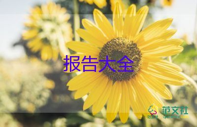 316個(gè)人自查報(bào)告優(yōu)質(zhì)8篇