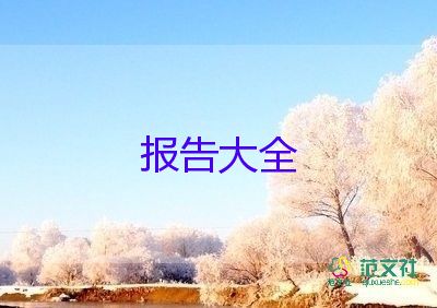 項目經理年終述職報告內容5篇