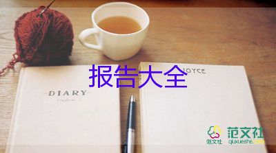 年度報告總結(jié)推薦5篇