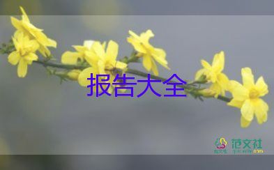 述德述職報告6篇