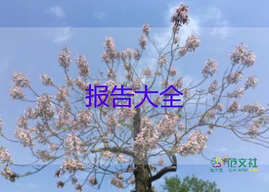 轉(zhuǎn)正報(bào)告?zhèn)€人工作總結(jié)8篇