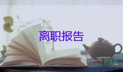 2022會(huì)計(jì)辭職報(bào)告優(yōu)秀模板熱門8篇