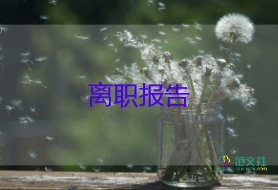 實用關(guān)于會計辭職報告參考范文5篇