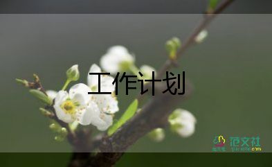 行政半年工作計(jì)劃范文5篇