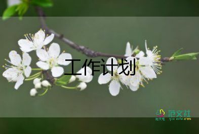 衛(wèi)生站工作計劃6篇