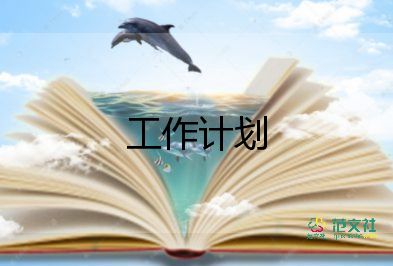 村黨建半年工作計劃6篇