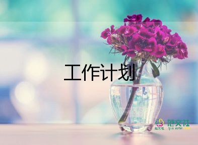 黨員工作計劃范文6篇