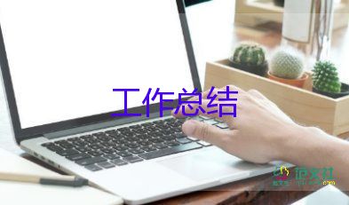 平設計師試用期工作總結(jié)8篇