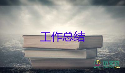 2024年度村官工作總結(jié)范文8篇