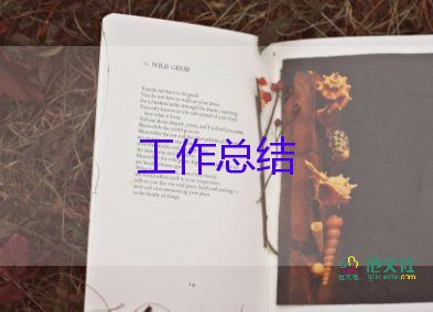 小學語文教師工作總結個人總結8篇