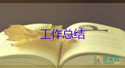 申報項目工作總結(jié)5篇