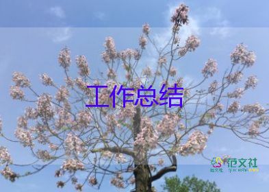 工作經(jīng)歷了工作總結(jié)6篇