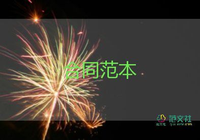 公司租個人租賃合同5篇