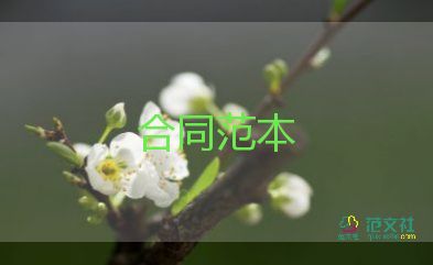 網(wǎng)上合同模板5篇