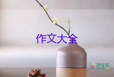 小制作作文500字作文8篇