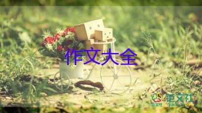 奶奶的愛作文優(yōu)秀7篇