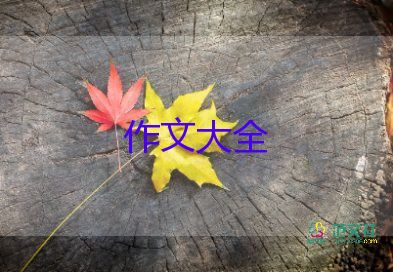 《我流淚了》作文推薦5篇