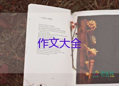 描寫酒的作文300字優(yōu)質(zhì)7篇