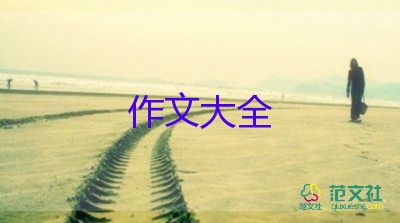 搞衛(wèi)生作文300字7篇