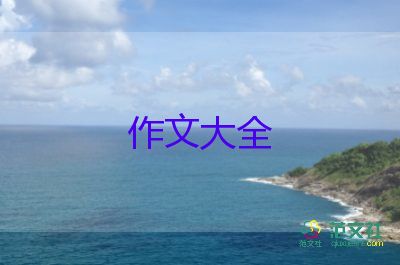 路上灑滿陽光作文800字5篇