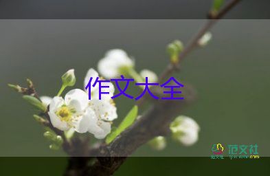 班會(huì)心得作文7篇