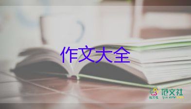 癡迷作文600字6篇