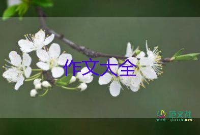 未來(lái)為主題作文6篇