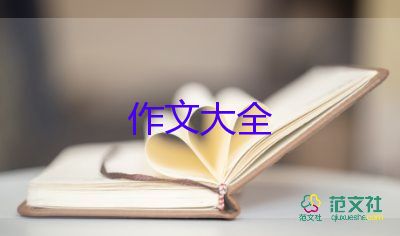 我的玩具屋作文500字7篇