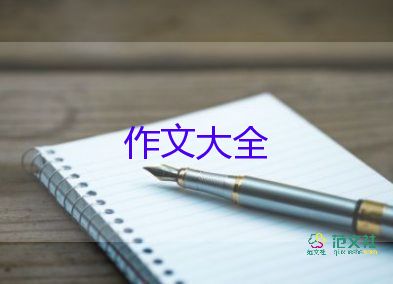 打沙包的作文300字8篇