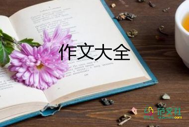 當(dāng)語(yǔ)文老師的作文優(yōu)質(zhì)7篇