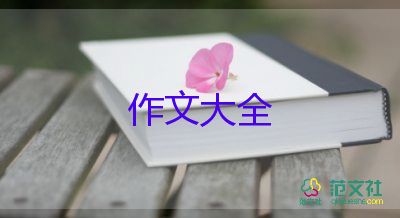 我很_他作文優(yōu)秀8篇