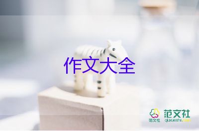 安全的作文300字推薦5篇