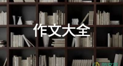 我被表?yè)P(yáng)了作文最新6篇