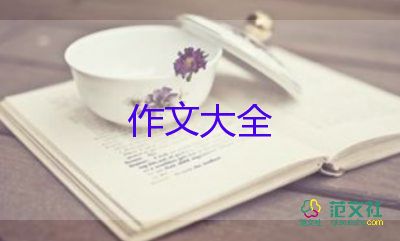 放煙花好作文優(yōu)質(zhì)7篇