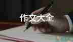 關(guān)于我最喜歡的一本書作文優(yōu)選范文11篇